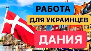 КАК НАЙТИ РАБОТУ В ДАНИИ УКРАИНСКИМ БЕЖЕНЦАМ? Работа для украинских беженцев!