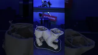 Wolf Pup 3D Print Timelapse #Shorts