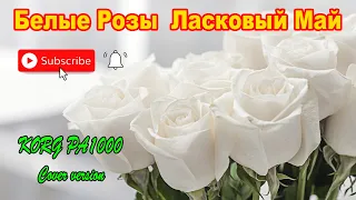 Белые Розы - Ласковый Май - Юра Шатунов (cover KORG PA 1000)