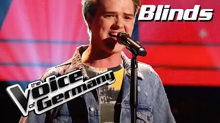 The Mamas and the Papas - California Dreamin (Vojtech Zakouril) |The Voice of Germany|Blind Audition