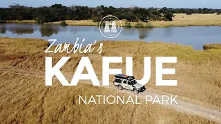 Kafue National Park, Zambia / 2023