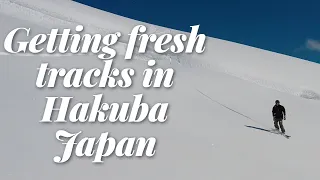 Hakuba Japan accidental powder days. The season that keeps on delivering.
