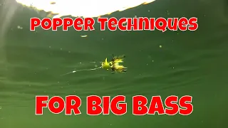 FLY FISHING TECHNIQUES FOR BIG BASS