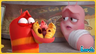 LARVA | CHILDREN | CARTOON MOVIE FOR LIFE |THE BEST OF CARTOON | HILARIOUS CARTOON COMPILATION