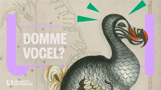 What caused the dodo to become extinct?