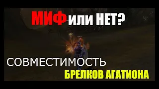 Миф или нет? Совместимость новых и старых брелков агатиона. Lineage 2 Homunculus