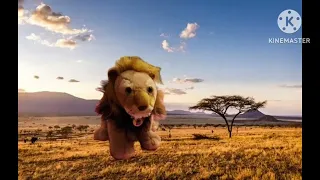 Lion Kills Zebra (Plush Toy Version).