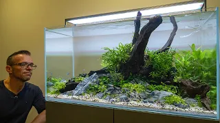 NEW AQUARIUM MAINTENANCE with 40+ NEW FISH (4K)