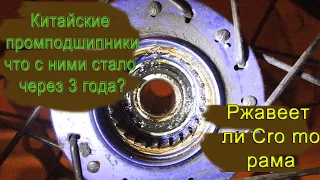 Заржавела ли Cro mo рама после утопления?/ Китайские промподшипники 3 года спустя.