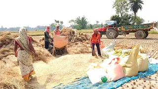 West Bengal Farmer Life: A Day in the Fields