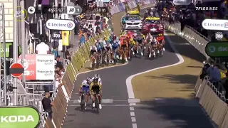 Julian Alaphilippe's Incredible Stage 2 Win | 2020 Tour de France