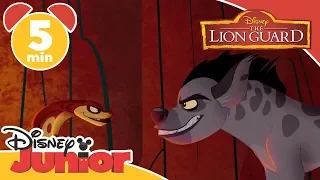 The Lion Guard | Music Compilation - Disney Junior Italia