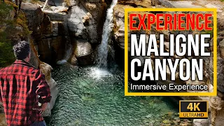 Maligne Canyon Jasper National Park -  Immersive