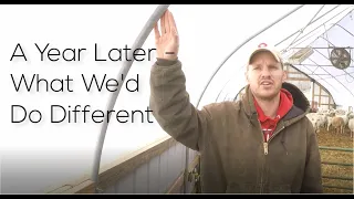 How we transformed a high tunnel to a barn! Cost & what we'd do differently now