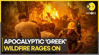 Greece wildfire in Rhode Islands forces tourists to flee | WION Climate Tracker