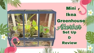 My Mini Ikea Greenhouse Akerbar Set Up & Review // How to Weatherstrip Ikea Mini Greenhouse Cabinet