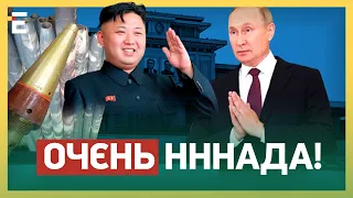 ПУТІН НА КОЛІНАХ! Просить СНАРЯДИ в корейців: РЕСУРС РОСІЇ ВИЧЕРПАНО!