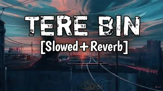 Tere Bin - Rahat Fateh Ali Khan Song | Slowed and Reverb Lofi Mix #lofi #slow #musiclovers #67lofi