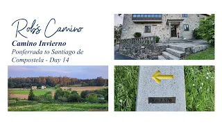 Day 14 - Camino Invierno - Lestedo to Santiago - Day 53 Overall