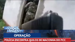 PCC: operação dá prejuízo de R$ 600 milhões em maconha | Brasil Urgente