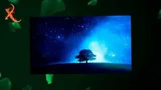 Enya - The Memory of Trees (Instrumental)