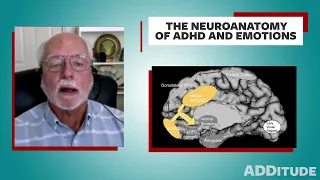 Brain Connections Between ADHD and Emotions (by Russell Barkley, Ph.D.)