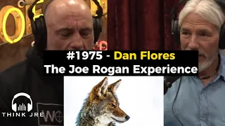 Joe Rogan GETS EMOTIONAL When Telling a Story About His Dog and Coyotes #jre #joerogan #1975