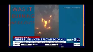 Was This Tree Burning Inside Out: Lahaina Fires