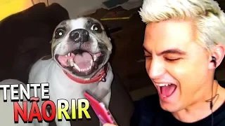 TENTE NÃO RIR - CACHORRO COM GRIPE [+10]