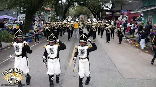 Roots Of Music-"Ring My Bell" (King Arthur Parade 2020)