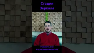 Стадия Зеркала