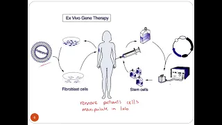 Gene Therapy lecture