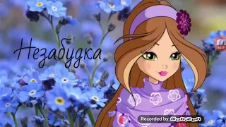 Флора и Гелия - Клип Незабудка.🌷🌸🌹🌺🌼