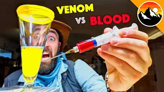 Human Blood vs. Snake Venom!