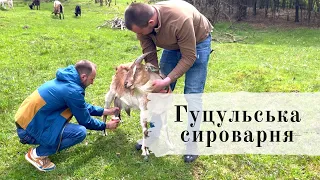 Гуцульська сироварня у Карпатах | Екоферма | Дегустація сирів