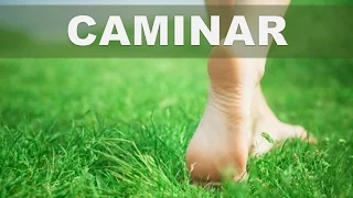 No creerás los 5 beneficios de caminar descalzo en el cesped o tierra puede hacer por tu salud