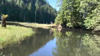 Mini jet boat Upper stave lake water ways POV