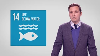 Sustainable Development Goal SDG 14 Life Below Water