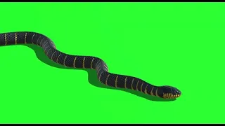 green screen snake animation | snake green screen | snake 🐍 green screen video #snake