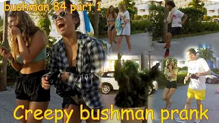 Bushman 84part 1