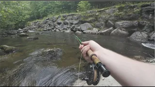 Fly Fishing the Tennessee Smokey Mountains
