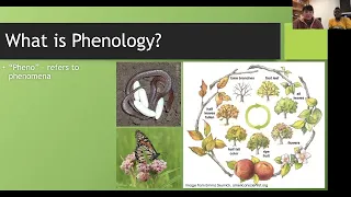 Phenology with Appalachian Headwaters