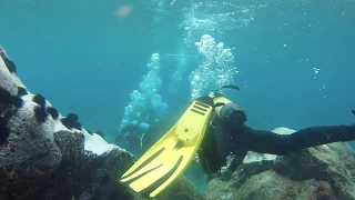 Scuba dive in Azores, mergulhar Açores, スキューバダイビング大 西洋 水肺潛水大西洋 الغوص تحت الماء المحيط الأطلسي