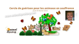 Cercle de guérison pour les animaux en souffrance du jeudi 09 février 2023 #28