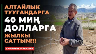 Замирбек Мукашев: Алтайлык туугандарга 40 миң долларга жылкы саттым!!!