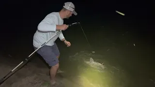 Iowa River Flathead Catfishing With Live Bait | New PB