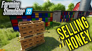 WHERE AND HOW TO SELL HONEY - Farming Simulator 22 Tips #2 | Radex