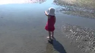 Low tide at white rock beach