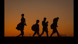 World Migration Report 2022: Deciphering Global Trends and Complexities