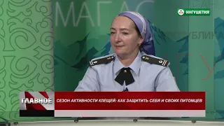 ГЛАВНОЕ СЕЗОН АКТИВНОСТИ КЛЕЩЕЙ 03062021